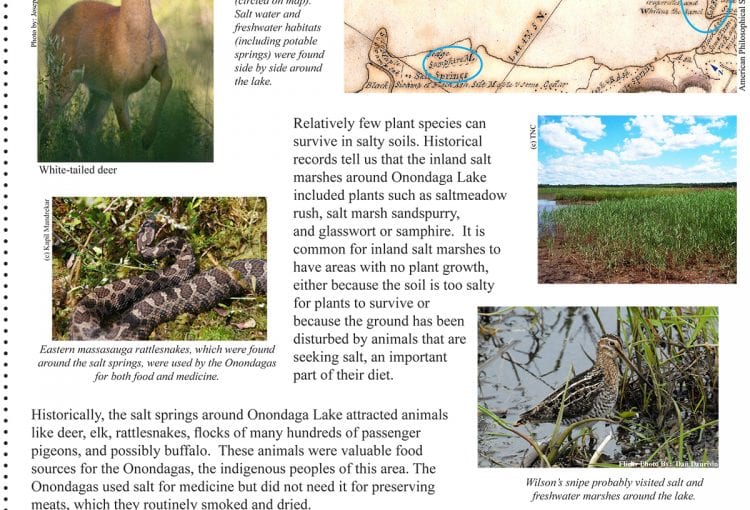 Historic Ecosystems Around Onondaga Lake Fact Sheet