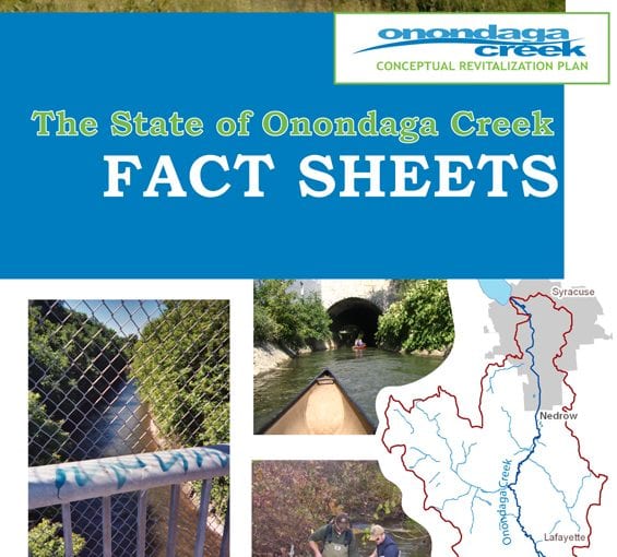 The State of Onondaga Creek: Fact Sheets 2008